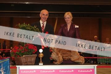 124188 _tl_02_IMG_9247.JPG