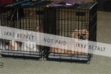 126168_tl_01_IMG_0007.JPG