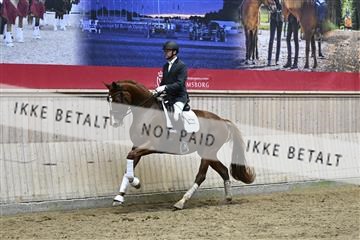 182241_kbb_01_Z094849.JPG