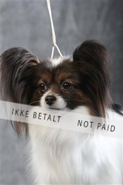 129608_le_ 01_0447.JPG