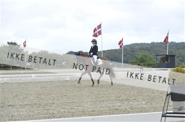 169624_kbb_01__KBB8307.JPG