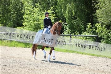 168732_mtp_01_3M5A7281.JPG