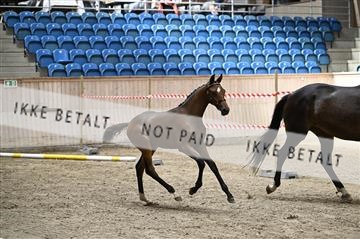 181754_kbb_01_Z093885.JPG