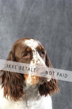 129608_le_ 01_0525.JPG