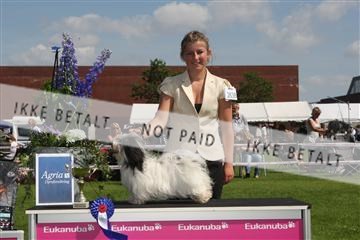 130370_se_03_IMG_7507.JPG