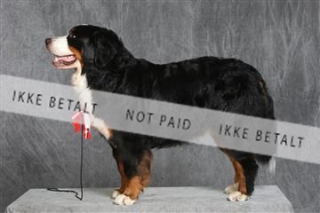 130054_le_ 03_0423.JPG