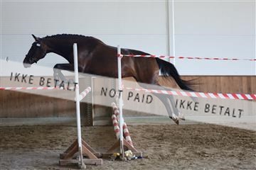 181804_mlm_01_R62_8798.JPG