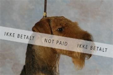 5493_sme _03__MG_9782.JPG