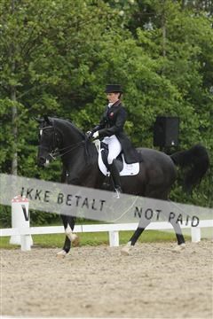 139835_sg_02_IMG_8938.JPG