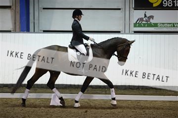 141472_abo_01__AB15102.JPG