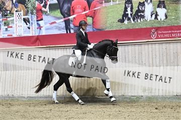 182241_kbb_01_Z094126.JPG