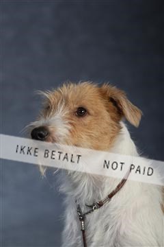 132082_le_ 01_IMG_0939.JPG