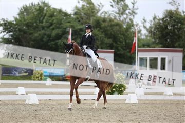 156196_nn_01_IMG_5280.JPG