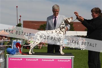 130370_se_02_IMG_6461.JPG