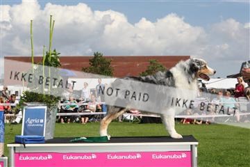 130370_se_03_IMG_7654.JPG