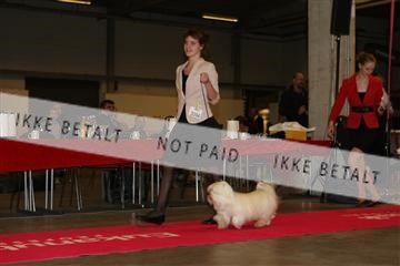133496_ms_01_IMG_9170.JPG