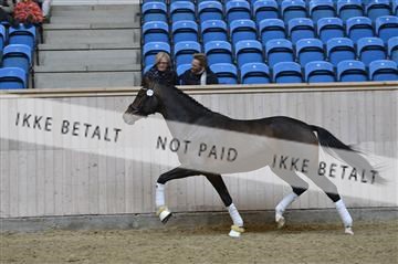 139327_abo_01__AB10343.JPG