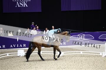 182194_avh_05_2251.JPG