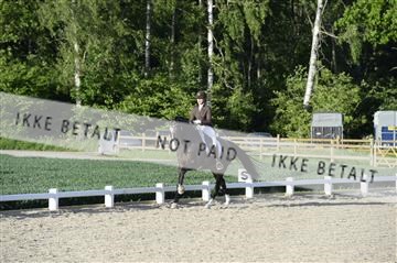 139898_ms_02__MS28866.JPG