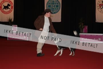 126827_tl_02_IMG_2788.JPG