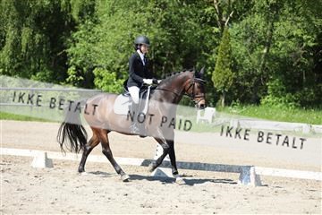 168732_mtp_01_3M5A6617.JPG