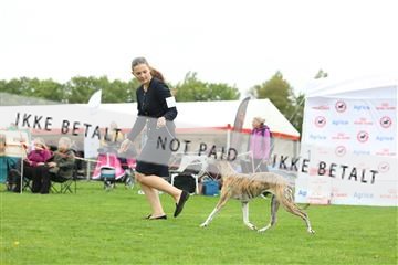 182009_rin_01_R62_7006.JPG