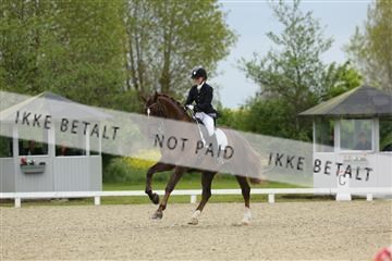139835_sg_01_IMG_7762.JPG