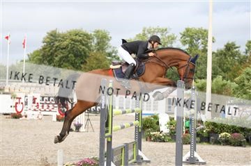 152762_nn _05_IMG_7743.JPG