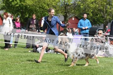134871_ms_04_IMG_0305.JPG