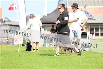 181564_rin_01_R62_0424.JPG
