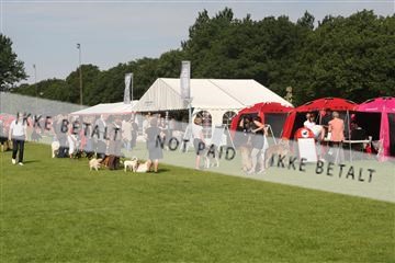 130370_le_03_IMG_8056.JPG