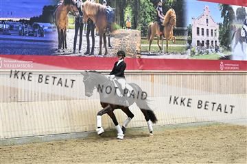 182241_kbb_01_Z093845.JPG