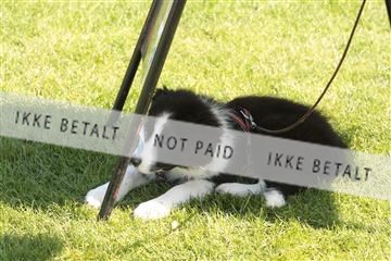 130370_le_01_IMG_7938.JPG