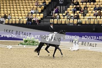 182194_kbb_03_Z091170.JPG