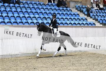 182241_kbb_01_Z093502.JPG
