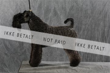 128239_le_kort_ 01_0325.JPG