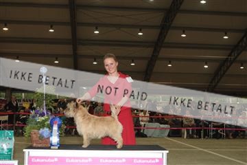 126168_se_02_IMG_0442.JPG