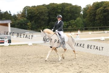181894_mtp_03_R62_2718.JPG