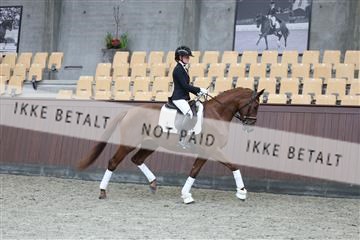 181852_mtp_04_R62_2998.JPG