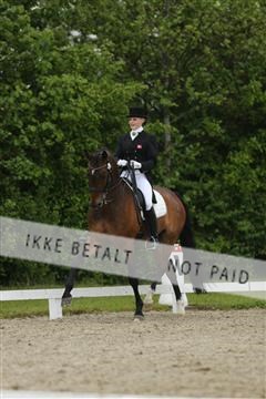 139835_sg_03_IMG_9168.JPG