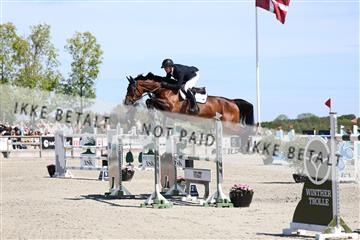 181436_avh_02_3951.JPG