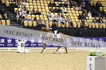 182194_kbb_03_Z090811.JPG