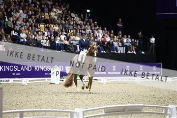 182194_avh_06_3636.JPG