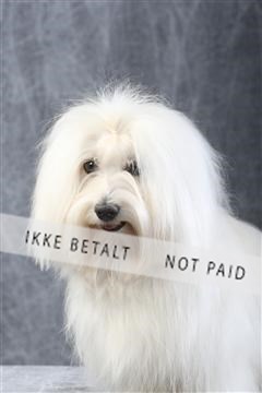 129608_le_ 01_0305.JPG