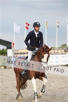 152762_nn _05_IMG_7543.JPG