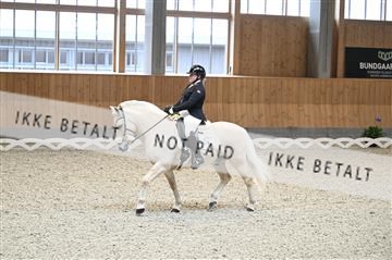 182176_kbb_01_Z092480.JPG