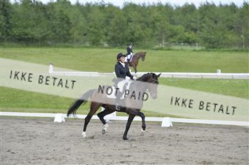 140040_abo_01__AB17256.JPG