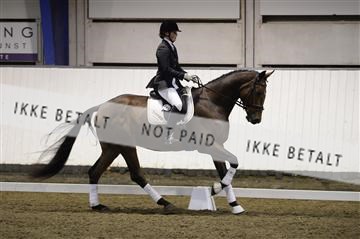 141472_abo_01__AB15161.JPG