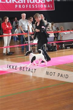 6068_ma_05_IMG_5987.JPG