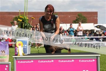 130370_se_03_IMG_7612.JPG